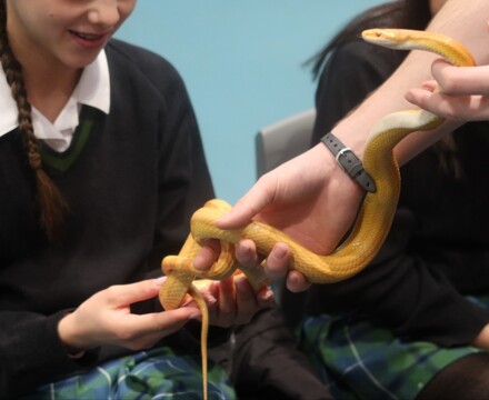Zoolab 1