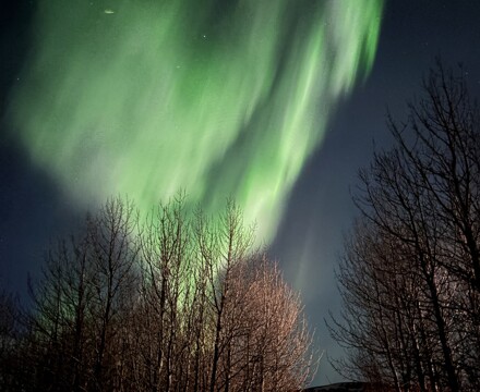 Iceland 2025 (4)