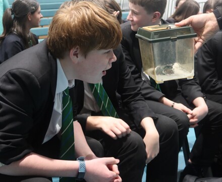 Zoolab3