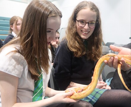Zoolab13