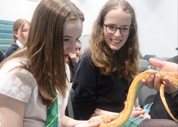Year 8 get up close with creepy crawlies in exciti...