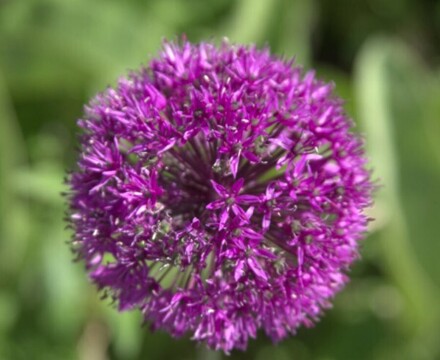 Kew3
