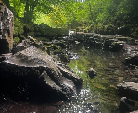 Welsh Camp 2