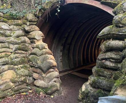 594357159 1290675133077478 229016701593870286 n